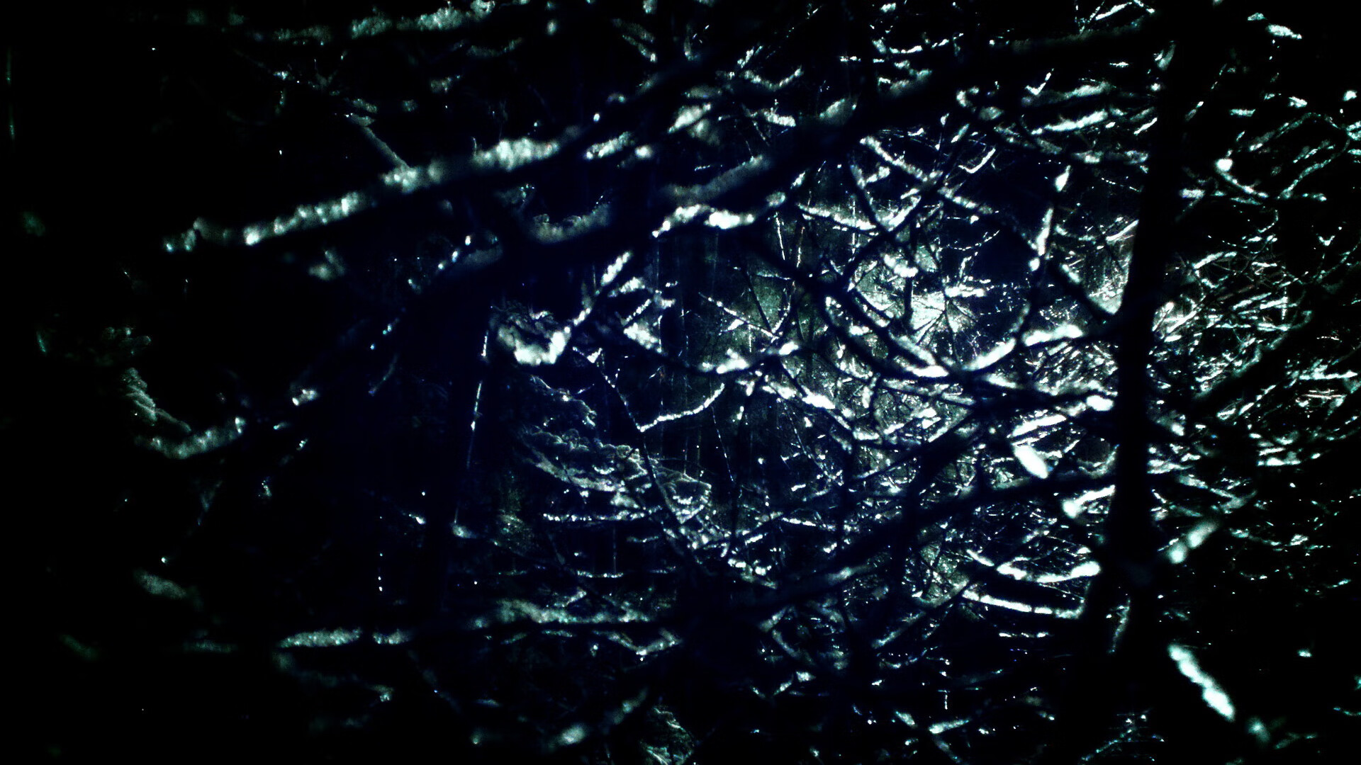 9游电竞站-WRC新赛季全景展望：未来的挑战与机遇，wrc赛事